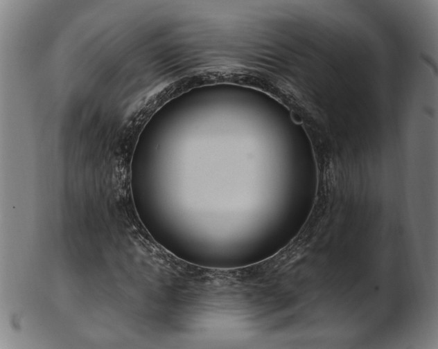 X0000103430822200809121327