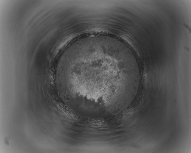 X0000103430823200809121327