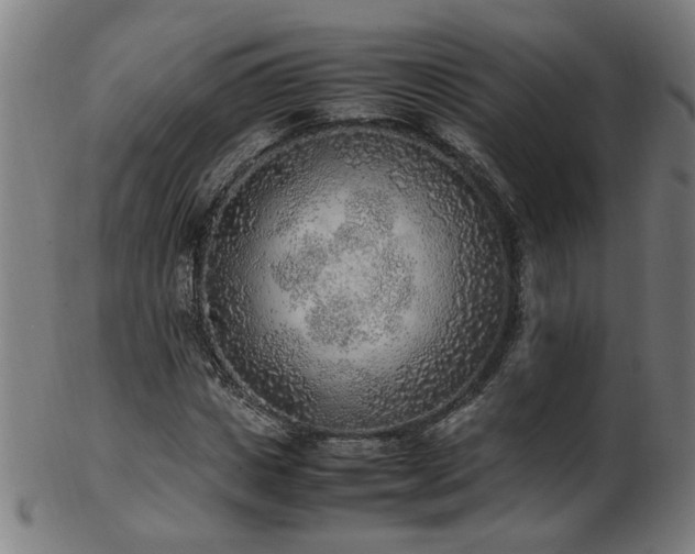 X0000103430825200809121327