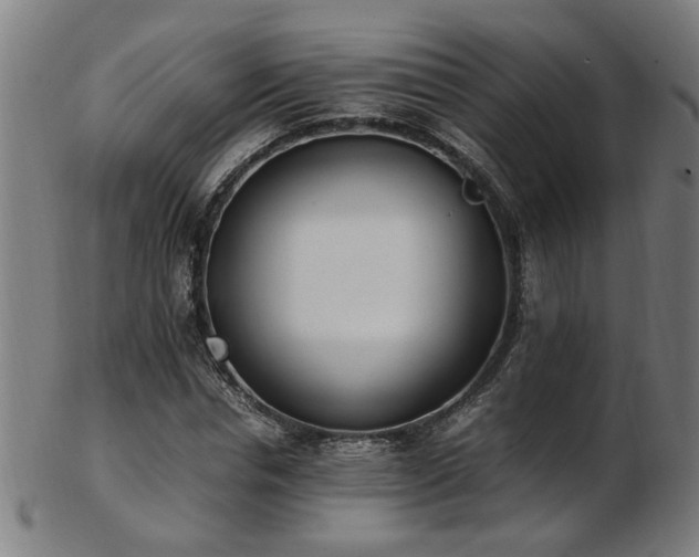 X0000103430826200809121327