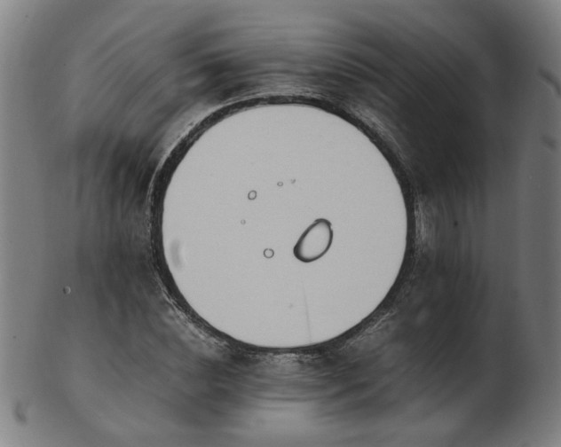 X0000103430828200809121327