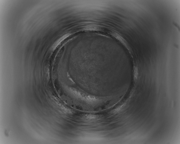 X0000103430829200809121327