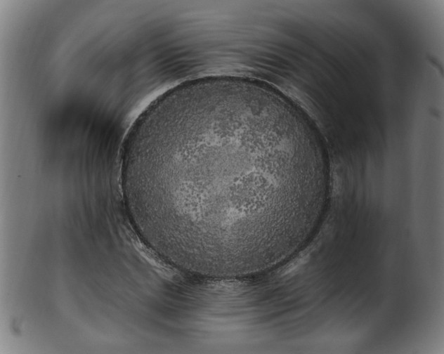 X0000103430830200809121327