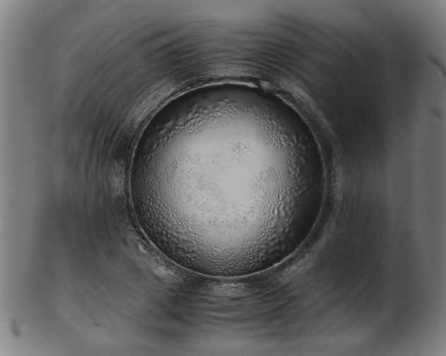 X0000103430833200809121327