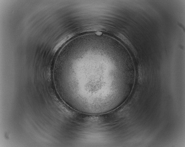 X0000103430834200809121327