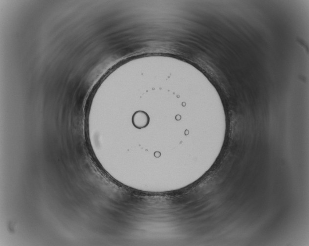 X0000103430836200809121327