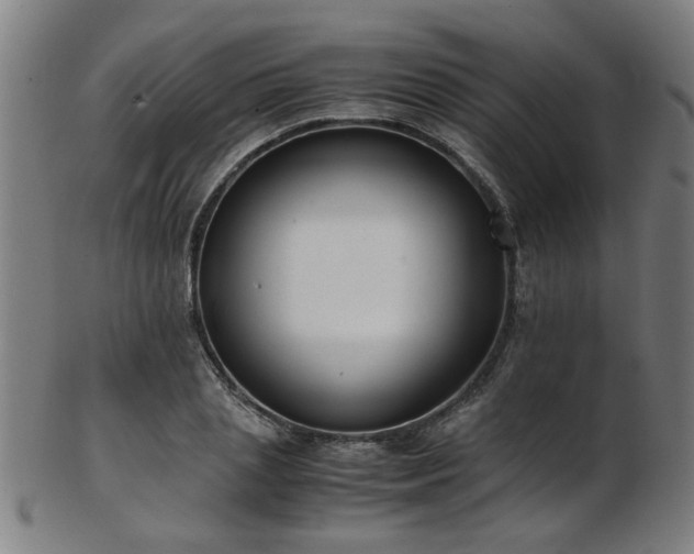 X0000103430837200809121327