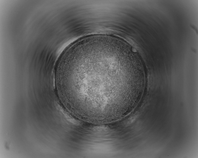 X0000103430838200809121327
