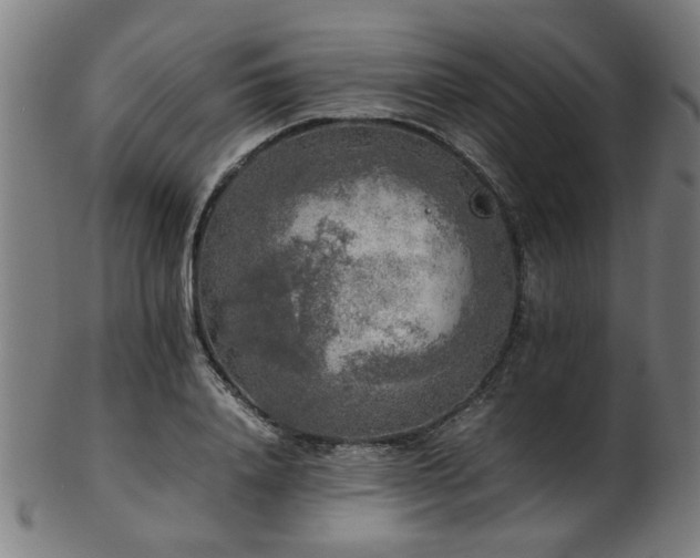 X0000103430840200809121327