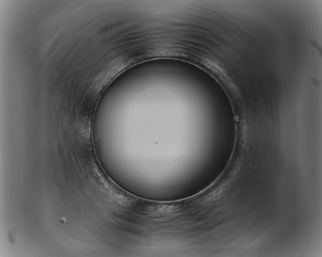 X0000103430841200809121327