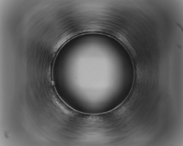 X0000103430842200809121327