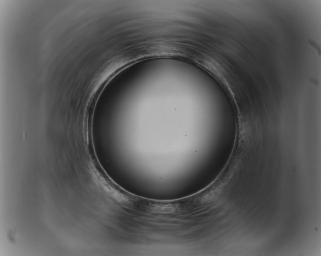 X0000103430843200809121328