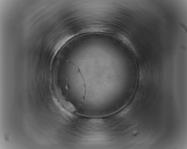 X0000103430844200809121328