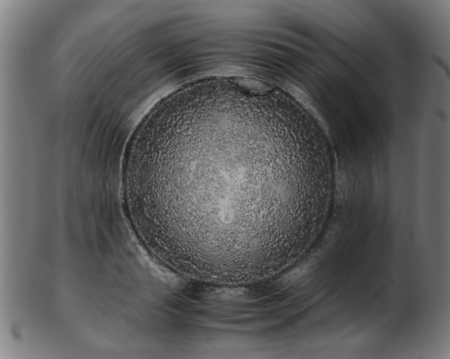 X0000103430845200809121328