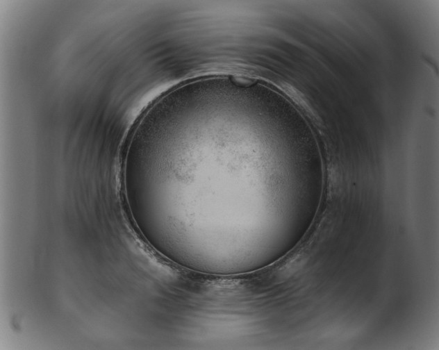 X0000103430846200809121328