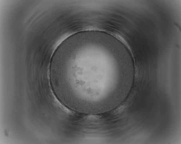 X0000103430847200809121328