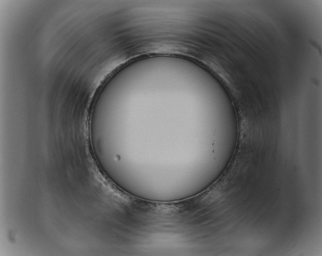 X0000103430848200809121328