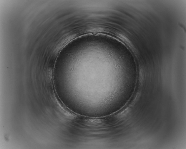 X0000103430849200809121328