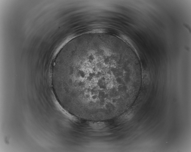 X0000103430851200809121328