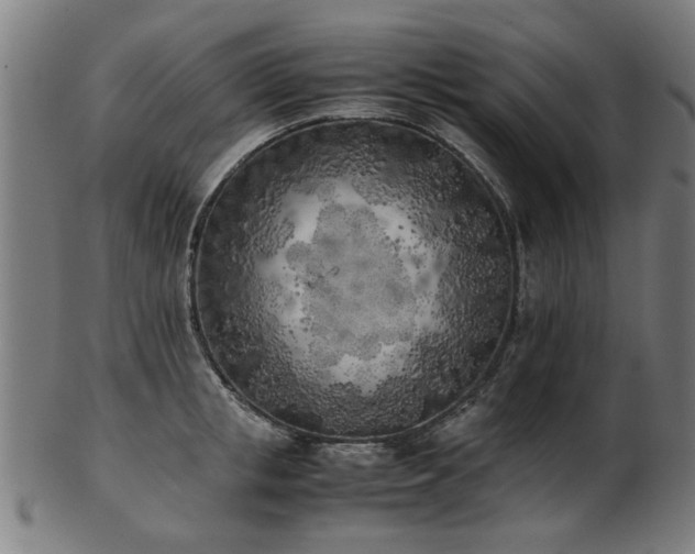X0000103430853200809121328