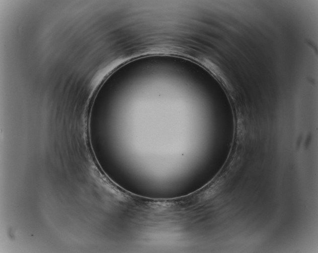 X0000103430854200809121328