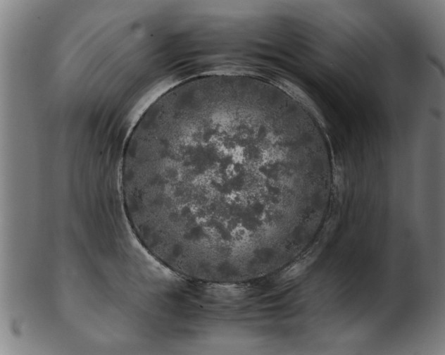 X0000103430855200809121328