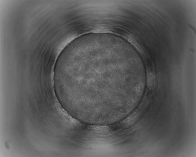 X0000103430856200809121328