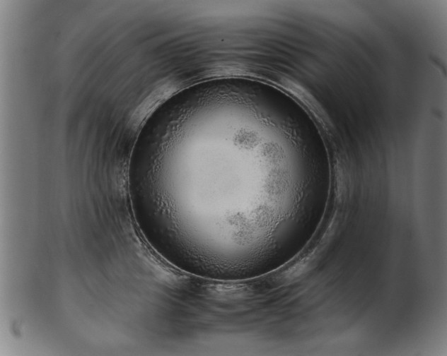 X0000103430857200809121328