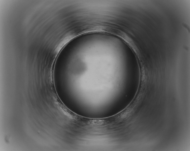 X0000103430858200809121328