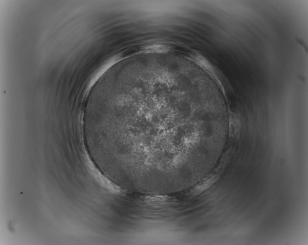 X0000103430859200809121328