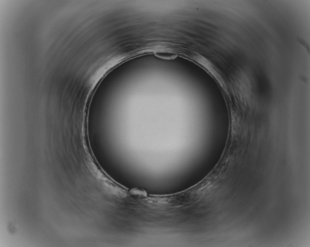 X0000103430861200809121328