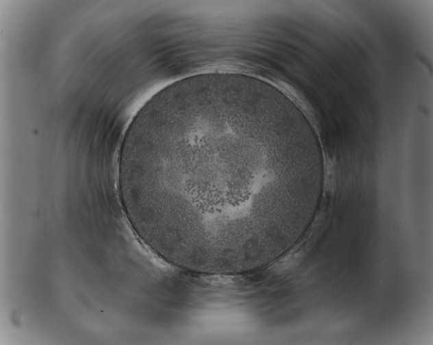 X0000103430862200809121328
