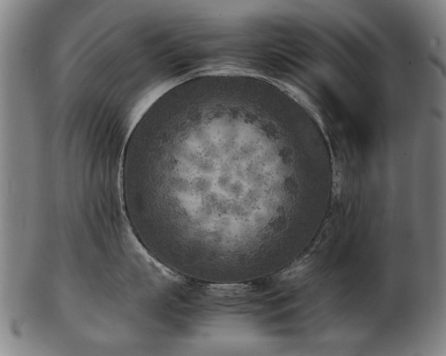X0000103430863200809121328