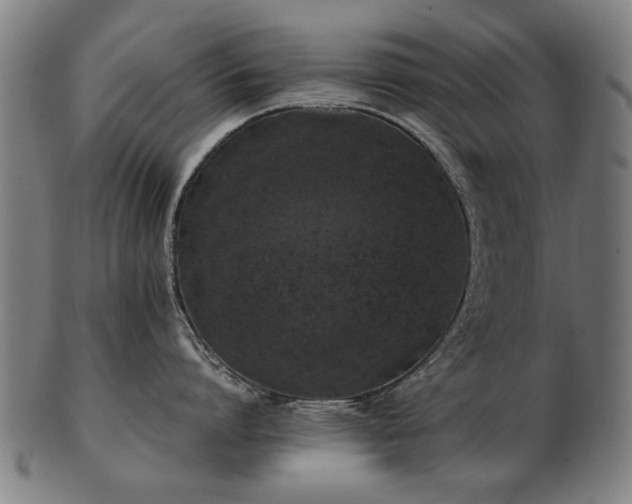 X0000103430864200809121328