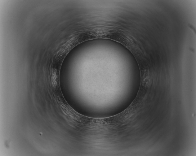 X0000103430866200809121327