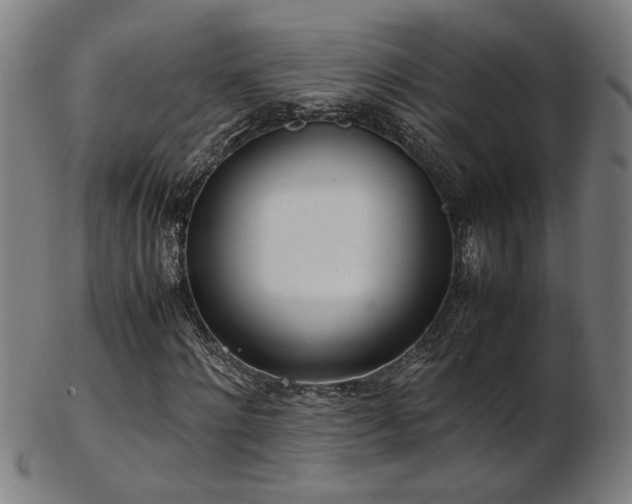 X0000103430868200809121327