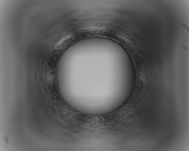 X0000103430869200809121327