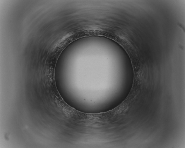 X0000103430870200809121327