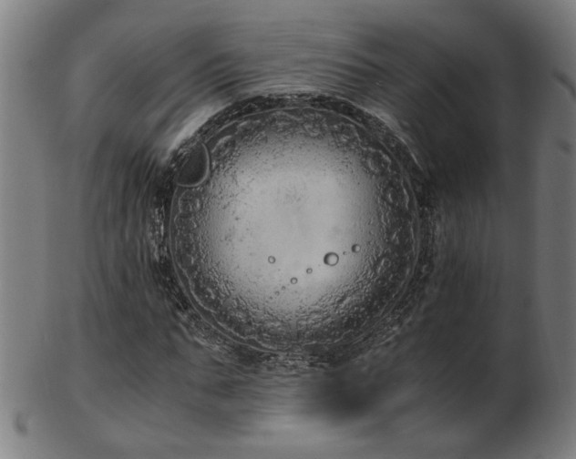 X0000103430871200809121327
