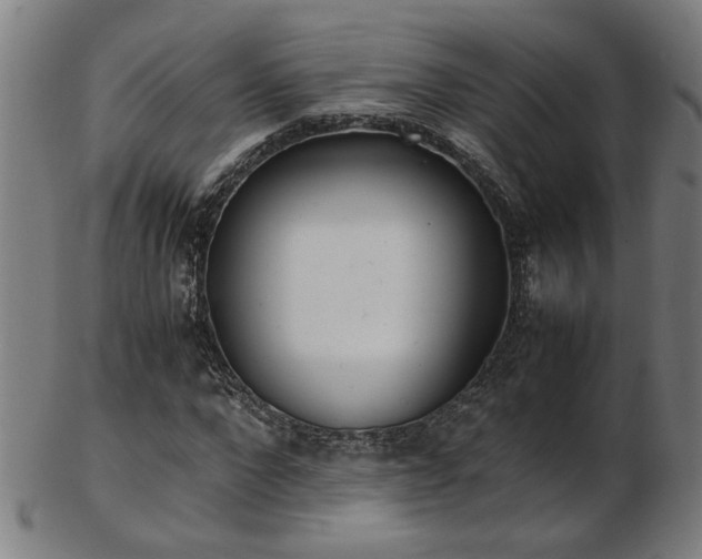 X0000103430872200809121327