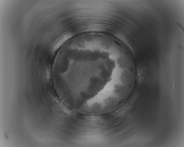 X0000103430874200809121327