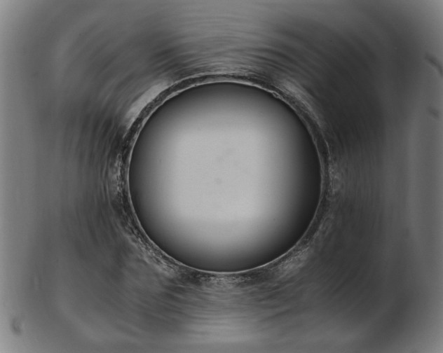 X0000103430875200809121327