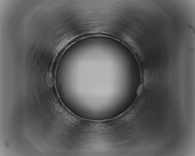 X0000103430876200809121327