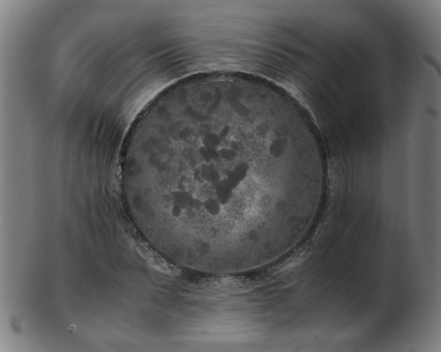 X0000103430879200809121327