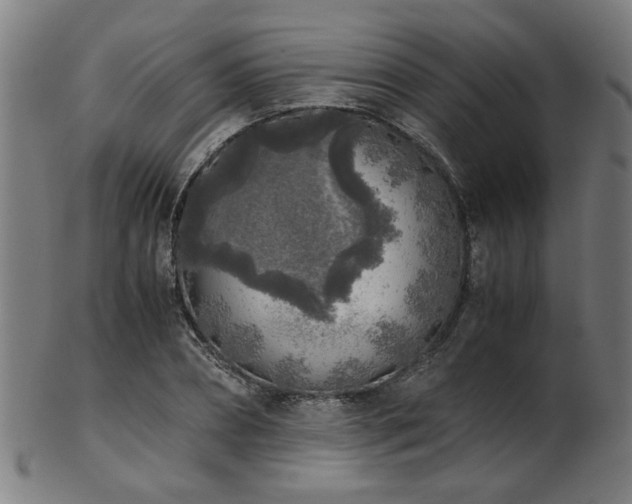 X0000103430882200809121327