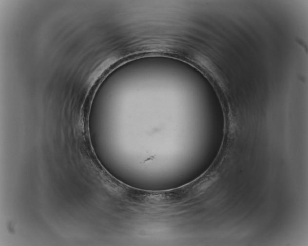 X0000103430883200809121327