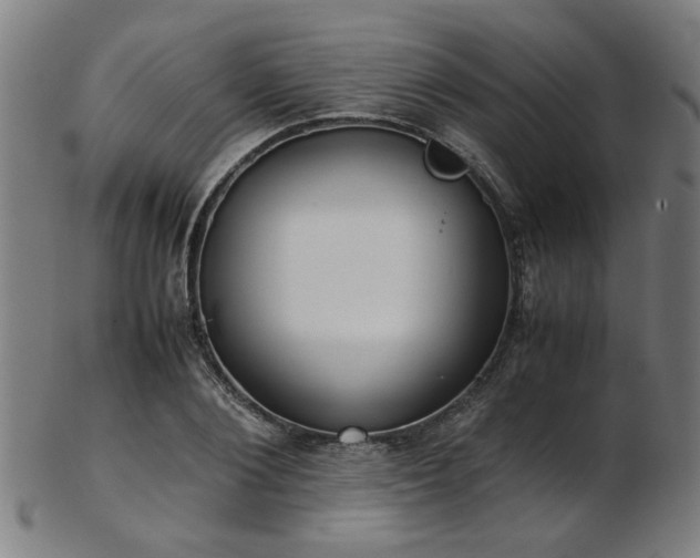 X0000103430884200809121327