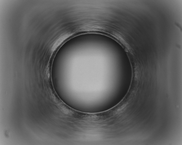 X0000103430885200809121327