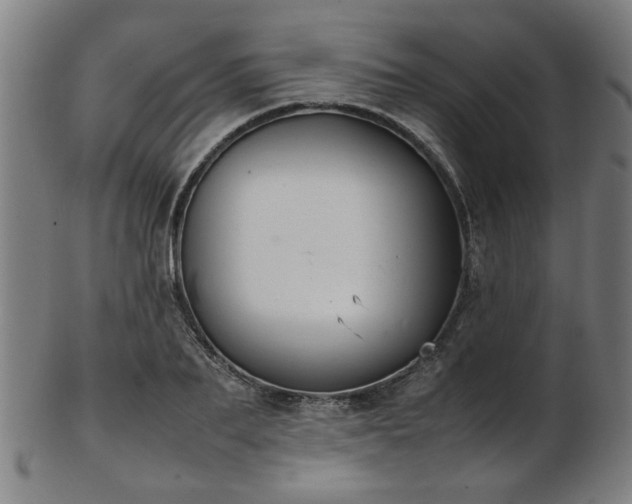 X0000103430887200809121327