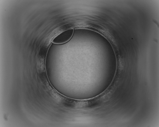 X0000103430889200809121327